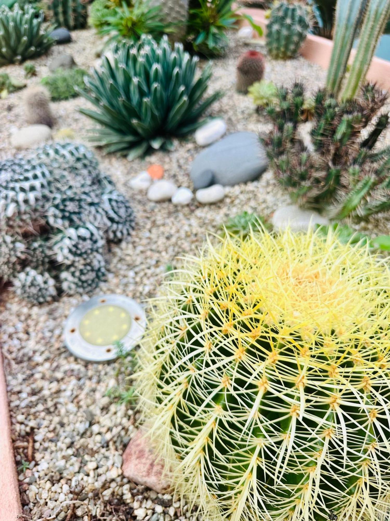 Il Giardino Davanti Al Mare Orosei Exterior foto